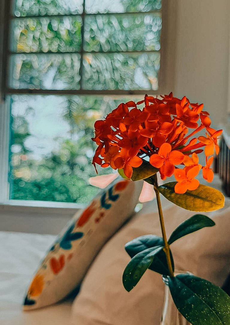 Casa 2522 - 5 quartos com trilha exclusiva para praia