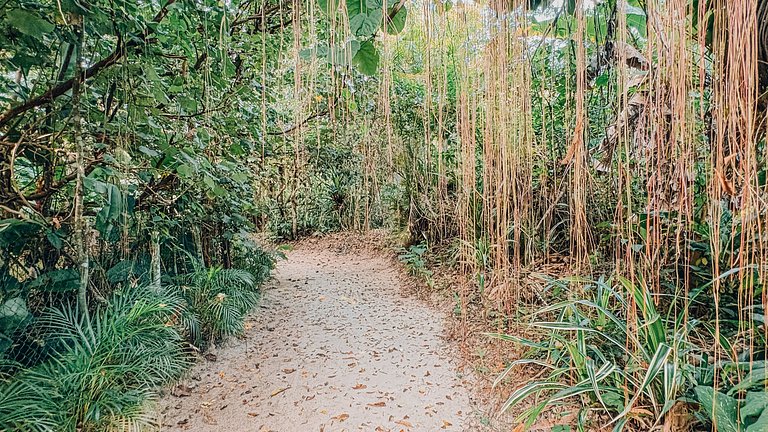 Casa 2226 - Oásis particular com trilha exclusiva para praia